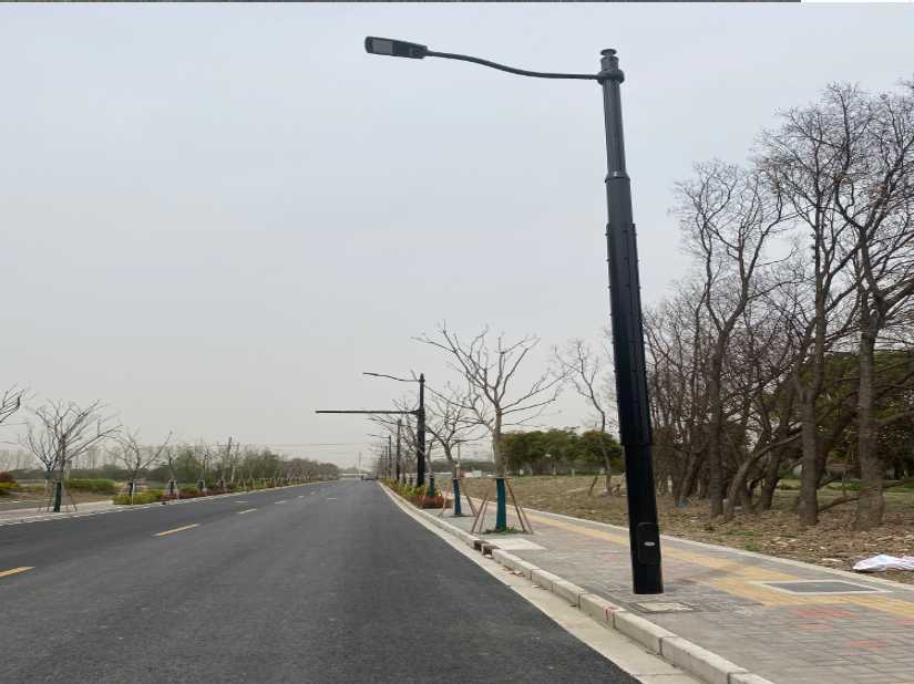 上杭县上海综合杆 太阳能路灯工程